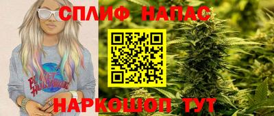 спайс Малгобек