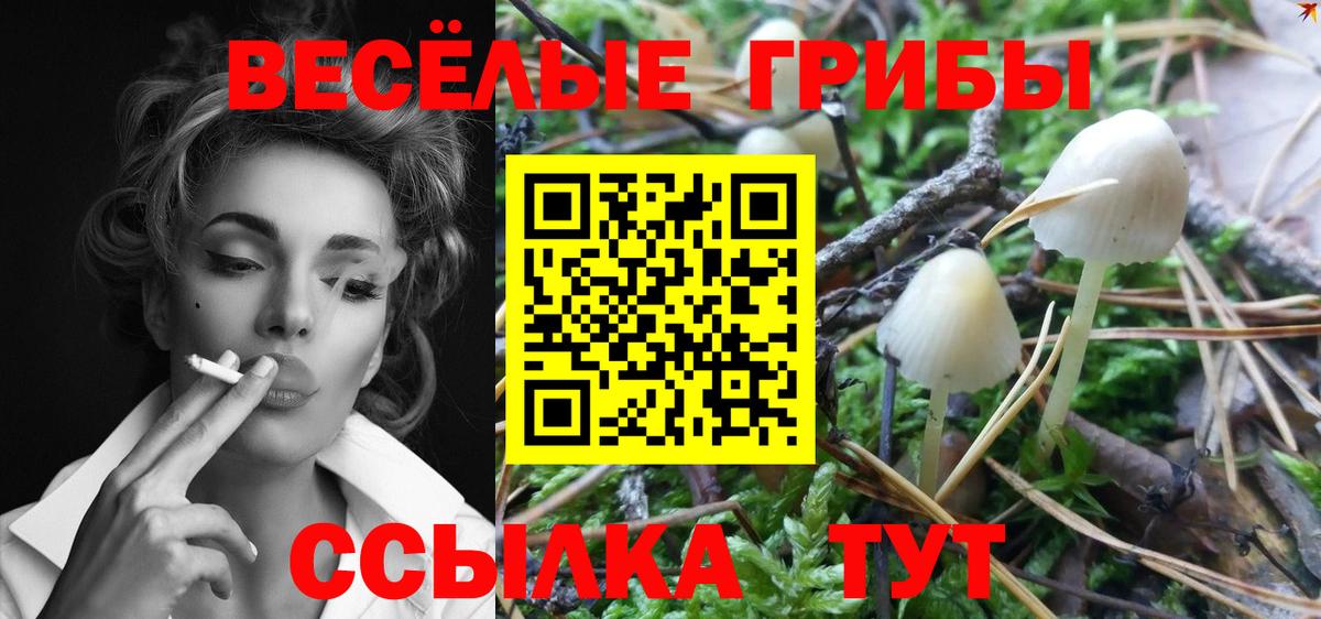 Галлюциногенные грибы Cubensis Тулун