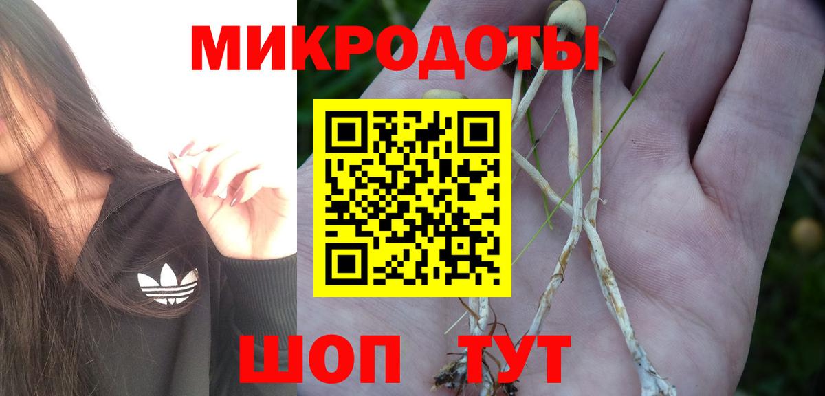 купить   Вход с VPN  Тулун  Псилоцибиновые грибы мухоморы 